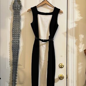 Chic Black and White Sheath Dress with Belt